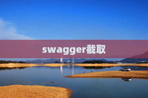 swagger截取